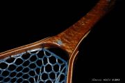 Instrument Grade Curly Koa with Curly Maple & Teak Hoop