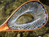 Mountain Whitefish in a Carolina Cherry Burl, Wenge, Cocobolo and Cherry net