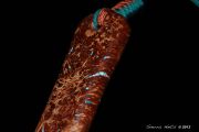 Custom Fly fishing Net of Oak Burl. Inlaid copper Kingma Turqunoise/Copper fill natural inclusions