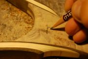 Drawing the fly