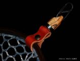 Custom Sierra Net of Spalted Maple Burl & Wenge.