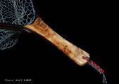 Custom Sierra Net of Spalted Maple Burl & Wenge.