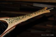Custom Fly Fishing Net, Salmo Trutta, by Sierra Nets