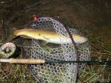 Mike with a nice brown!