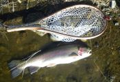 A Nice Hot Creek Rainbow