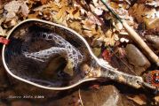 Mike took this beautiful fall shot in a small Arizona stream