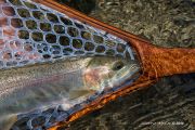 A beautiful Upper Owens rainbow in a custom Amboyna Burl net by Sierra Nets