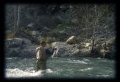 Sierra Nets on the San Gabriel River, Ca.