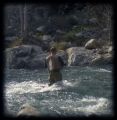 Sierra Nets on the San Gabriel River, Ca