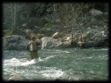 Sierra Nets on the San Gabriel River, Ca