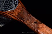 Avocado burl fly fishing net by Sierra Nets