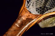 Avocado burl fly fishing net by Sierra Nets
