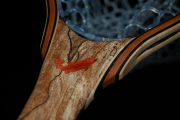 Inlaid Bloodwood trout in Spalted Maple