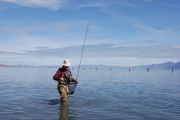 Lahontan Cutthroat-Pyramid Lake, Nv.
