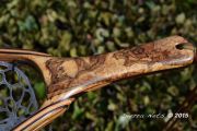 Spalted-Maple-Burl-Net-Fly-Fishing-Net-6-Medium-copy.jpg