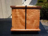 Medeiros-Urn-015.jpg