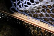 Ben of Arziona Wanderings Takes a Nice Photo of His New Sierra Net