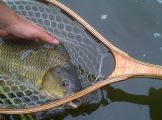 Jeff's First carp on the fly!