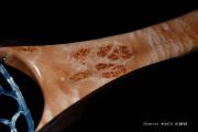 Cat's Paw Burl Maple with copper inlaid into the open burl eyes. The hoop is Wenge and all accents a